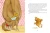 005.webp