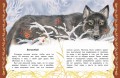 Самые лучшие сказки русских писателей (с крупными буквами, ил. М. Белоусовой)