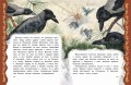 Самые лучшие сказки русских писателей (с крупными буквами, ил. М. Белоусовой)