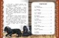 Самые лучшие сказки русских писателей (с крупными буквами, ил. М. Белоусовой)
