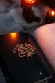 Страшные сказки братьев Гримм: настоящие и неадаптированные