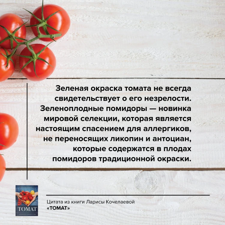 Томат. Выращиваем, ухаживаем и едим