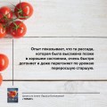 Томат. Выращиваем, ухаживаем и едим