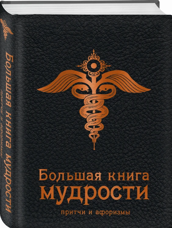 Большая книга мудрости (черная)