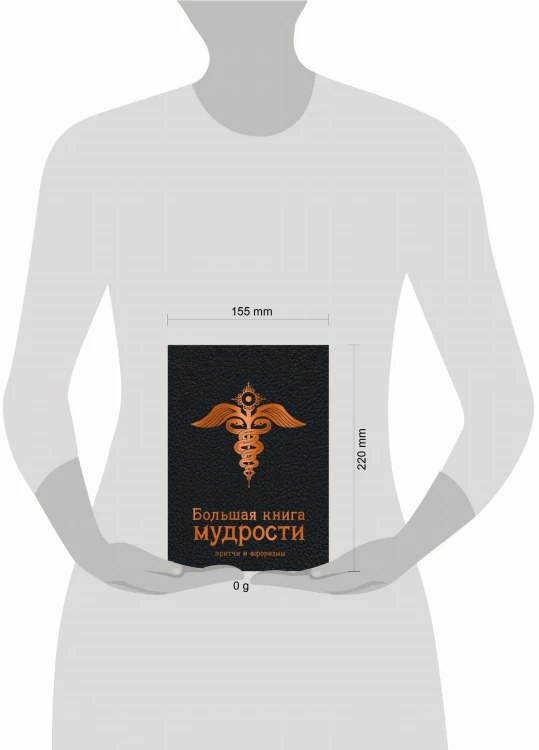 Большая книга мудрости (черная)