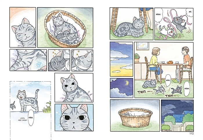 Милый дом Чи. Книга 11- манга 2.webp