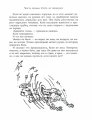 003.webp