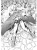 003.webp