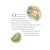 002.webp
