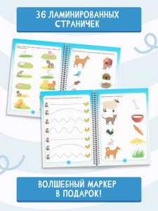Пиши-стирай 2-4 года