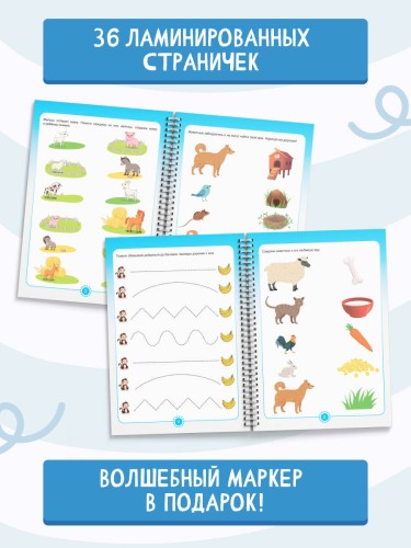Пиши-стирай 2-4 года