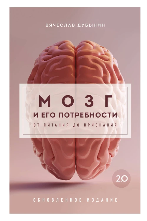 Мозг и его потребности 2.0. От питания до признания