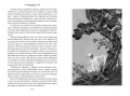 Развеянные чары v6.webp