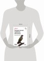 Генеративное глубокое обучение. Как не мы рисуем картины, пишем романы и музыку. 2-е межд изд.