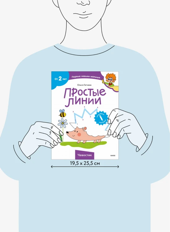 Простые линии (Чевостик)