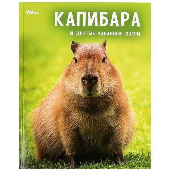 Капибара и другие забавные звери. Энциклопедия. 197х255мм. 7БЦ. 48 стр. Умка в кор.15шт