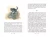 004.webp