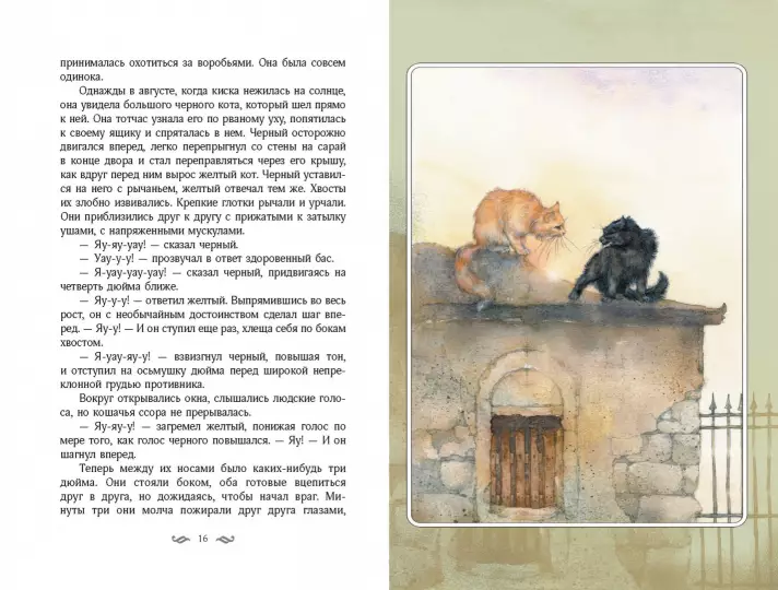 005.webp