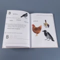Букварь5.webp