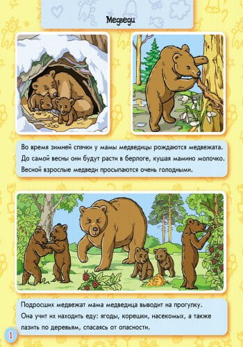 Животные леса2.jpg