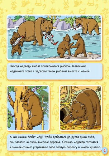 Животные леса3.jpg