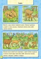 Животные леса4.jpg