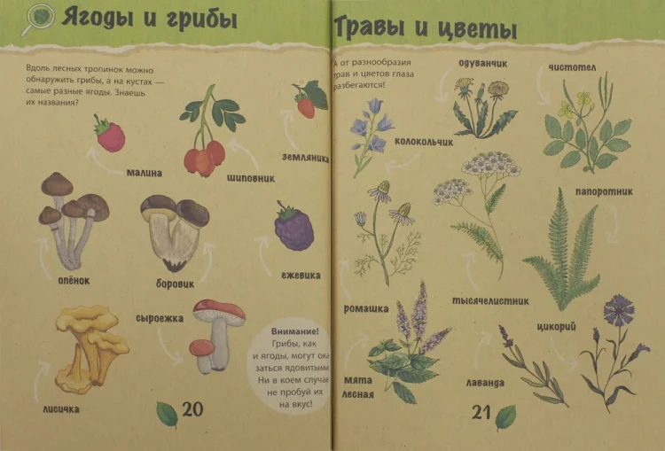 Спасти лес! 2.webp