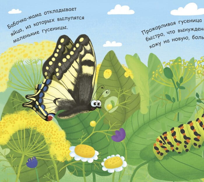 Моя первая энциклопедия- Как рождается бабочка 2.jpg