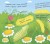 Моя первая энциклопедия- Как рождается бабочка 4.jpg