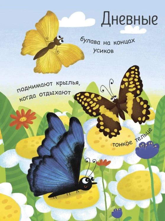 Моя первая энциклопедия- Как рождается бабочка 6.jpg