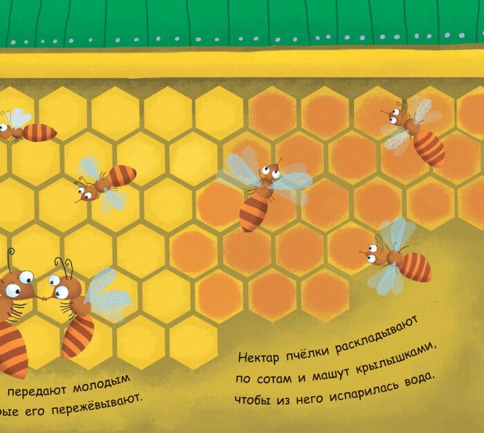 Как получается мёд 3.jpg