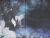 003.webp