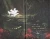 004.webp