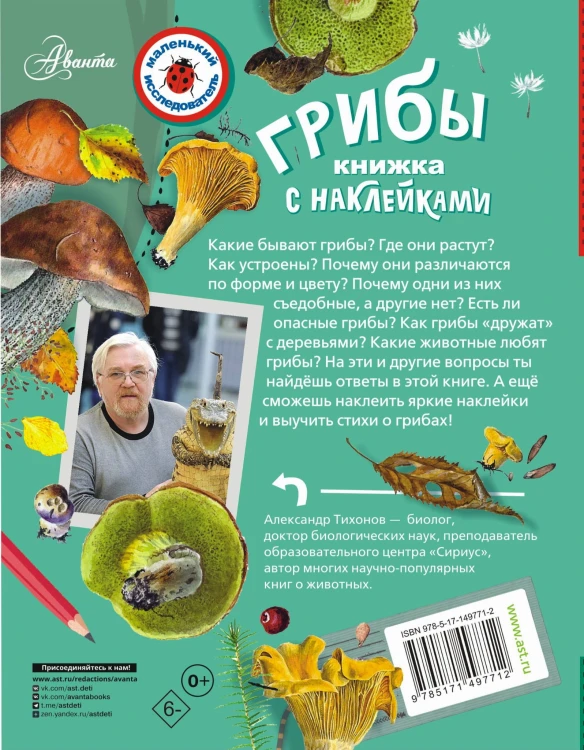 Грибы