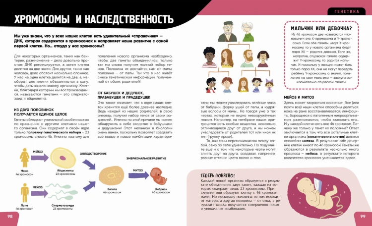 Тело человека. Самая анатомическая энциклопедия