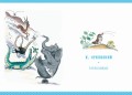 Сказки для детей в рисунках В. Сутеева