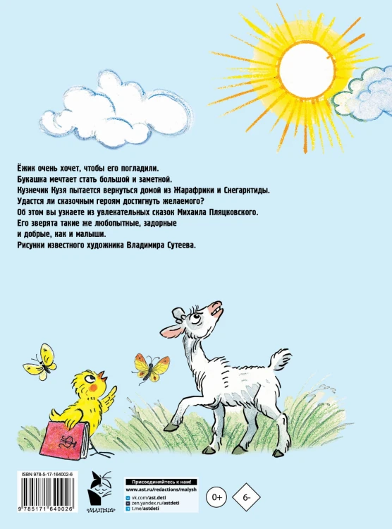 Солнышко на память. Рисунки В. Сутеева