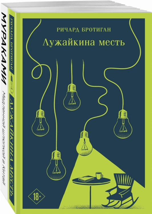 Набор учитель и его ученик (из 2 книг: Мураками "Медленной шлюпкой в Китай" и Бротиган "Лужайкина месть")