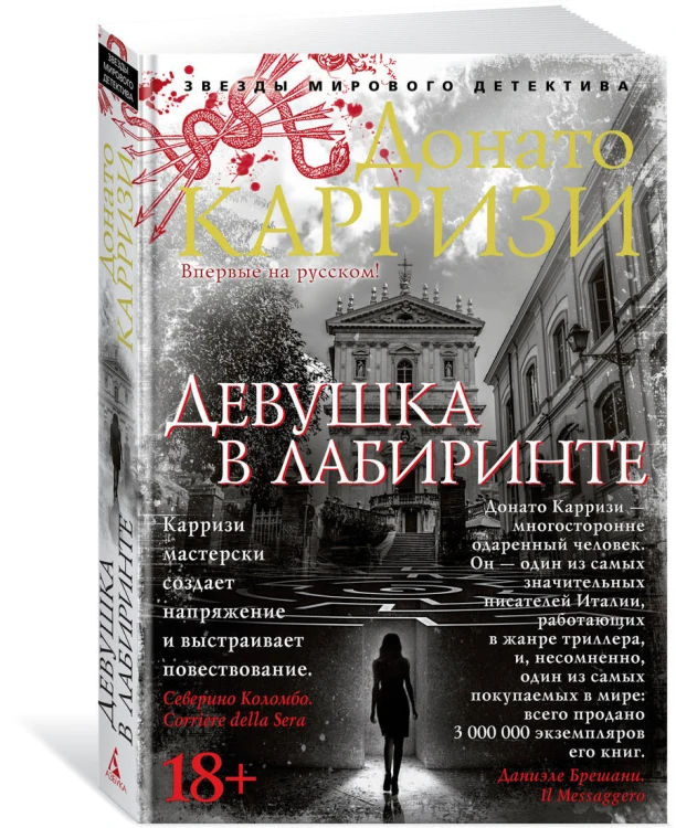 Девушка в лабиринте. Цикл Мила Васкес. Кн.3