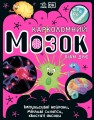 Карколомний мозок. Імпульсивні нейрони, мінливі синапси, хвостаті аксони