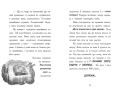 Тото. Кішка-ніндзя і таємниця крадія коштовностей. Книга 4