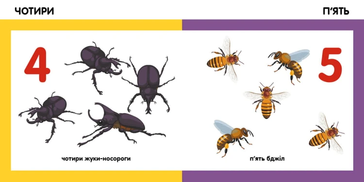 Лічимо комах