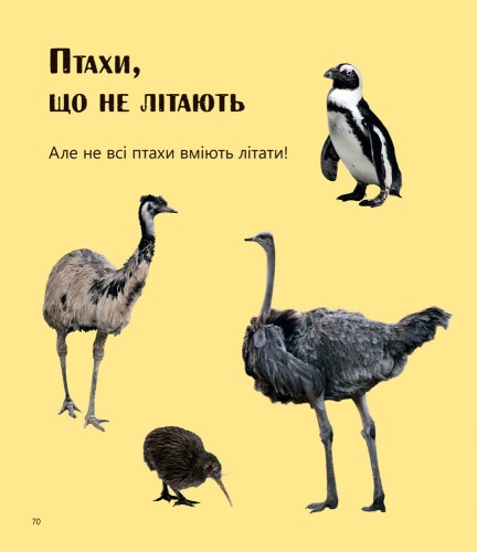 Великі тварини і не тільки... Рівень 1