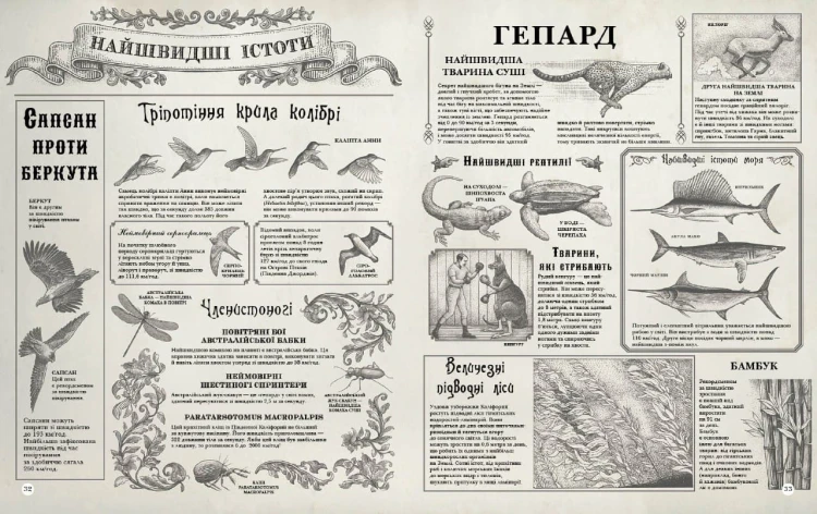Найвища гора. Найглибший океан