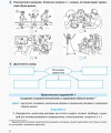 Основы здоровья. 7 класс. Рабочая тетрадь
