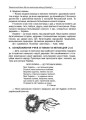 Тематичні дні у 3 класі. НУР037