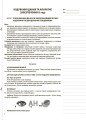 Інформатика. 8 клас. Мій конспект. Нова програма 2017. ИНМ013