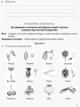 Біологія і екологія (профільний рівень). 11 клас. Зошит для практичних робіт