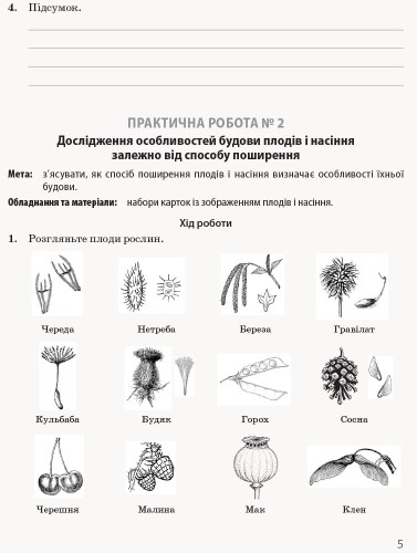 Біологія і екологія (профільний рівень). 11 клас. Зошит для практичних робіт