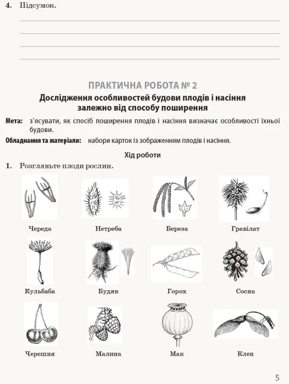 Біологія і екологія (профільний рівень). 11 клас. Зошит для практичних робіт